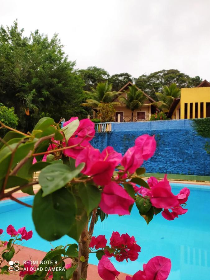 Vila Guaramiranga-Ce Chale Do Rei Exteriér fotografie